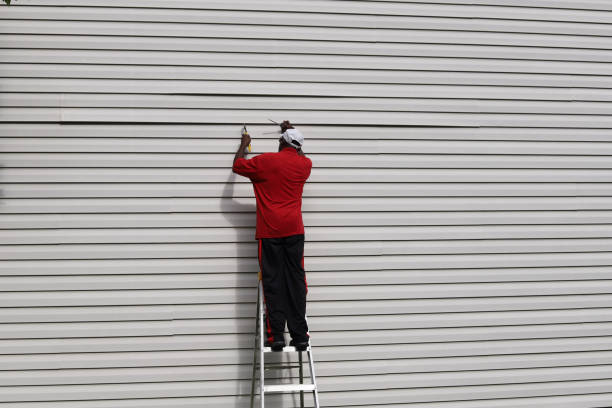 Best Custom Trim and Detailing for Siding  in Rock Springs, NM